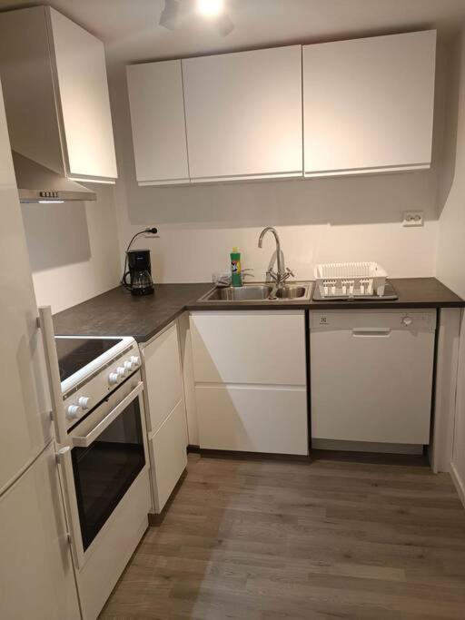 Cozy Apartment Close To Downtown Тромсьо Екстериор снимка